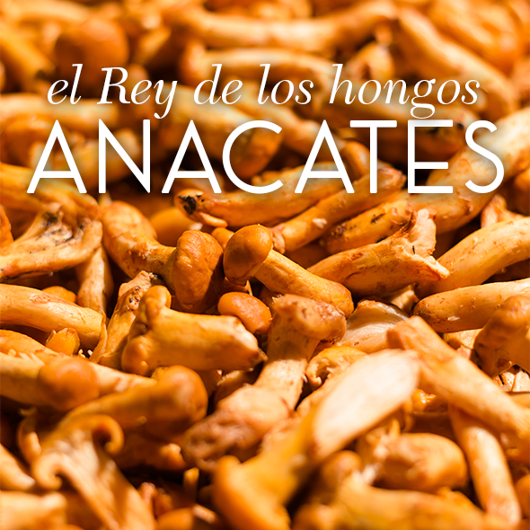 Pollo Rey con Anacates Aves Jakes